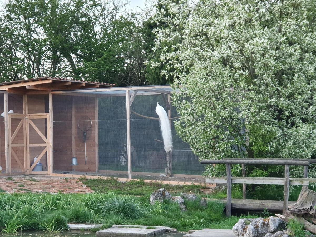U Durkovych Guest House Zabokreky Nad Nitrou ภายนอก รูปภาพ
